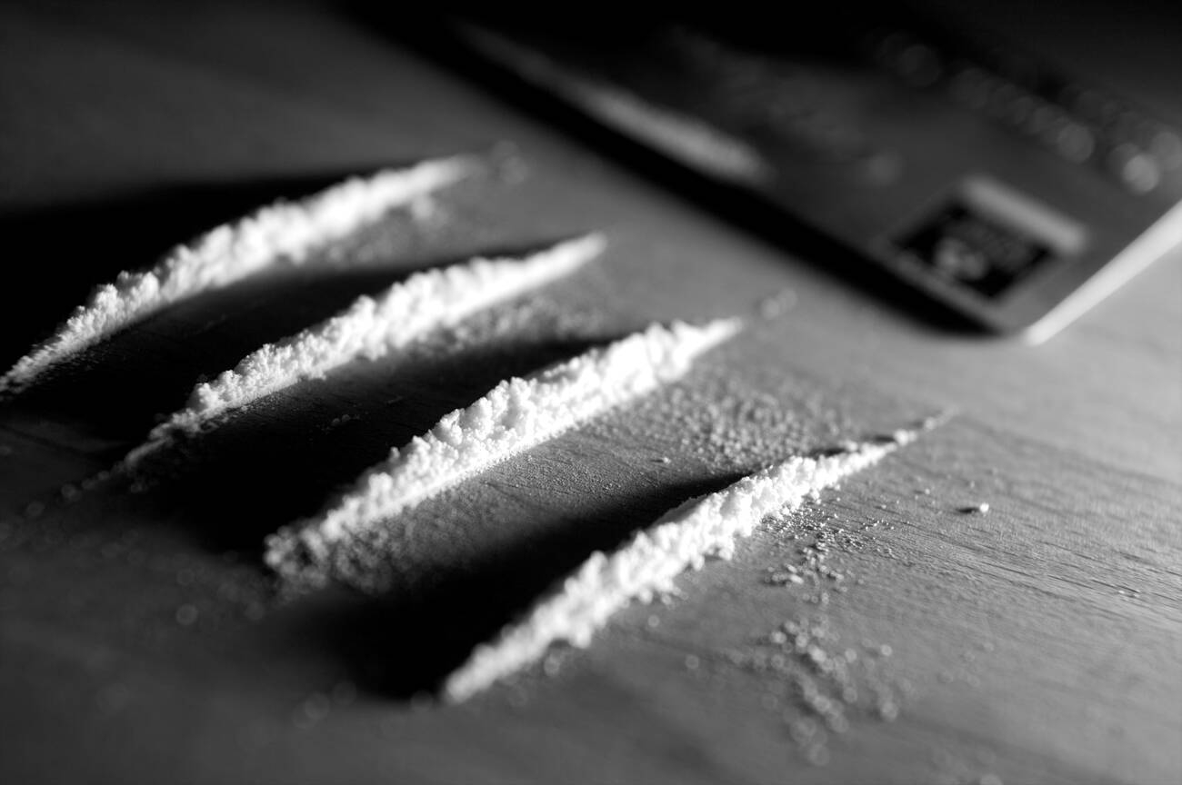 order cocaine online - distrodelsanto.com
